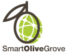 SmartOliveGrove Logo